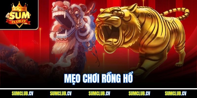 Mẹo Chơi Rồng Hổ SUMCLUB - Đặt Chuẩn, Ăn Tiền Siêu Nhanh
